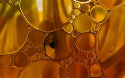 Que contiennent vraiment vos graisses ?